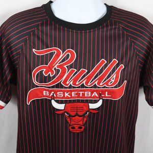 NBA Chicago Bulls Basketball #66 Polyester Stripped Embroidered Shirt Medium